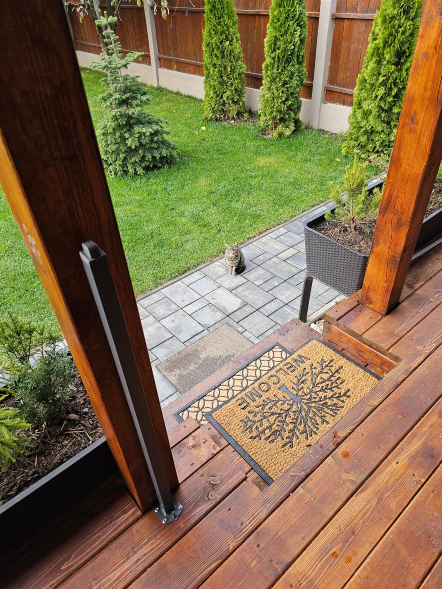 Arbor Inn Brasov Exterior photo